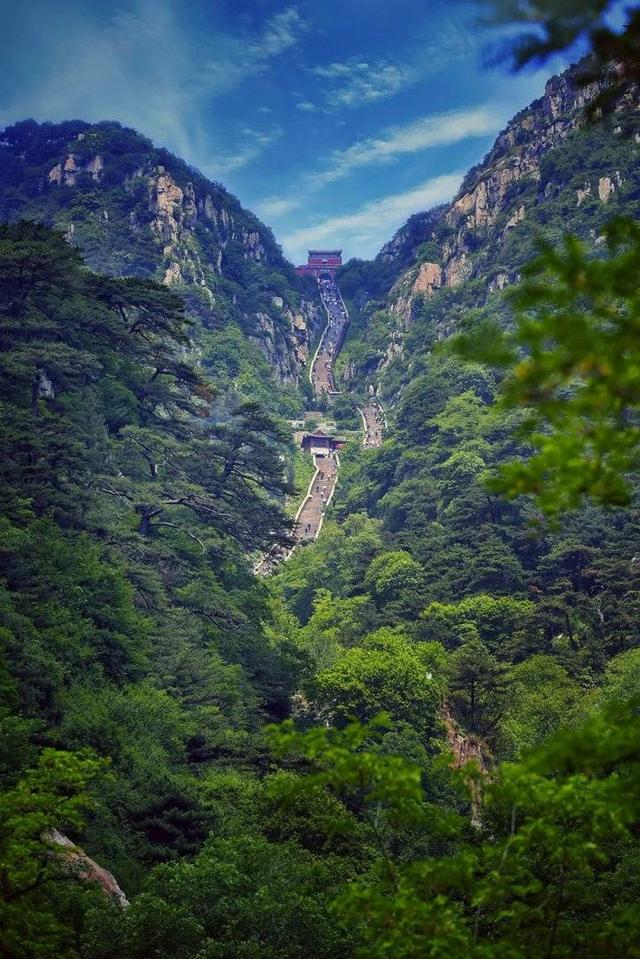 山东免门票至3月31日景区（山东这些景区恢复开放啦）(11)