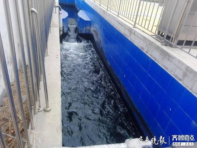 泰安全自动智能程控压滤机