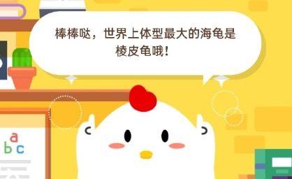 世界上体型最大的海龟是什么龟