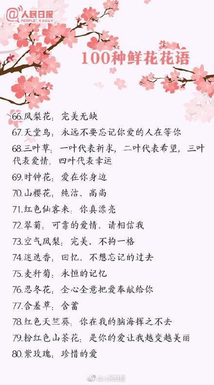 花的象征意义