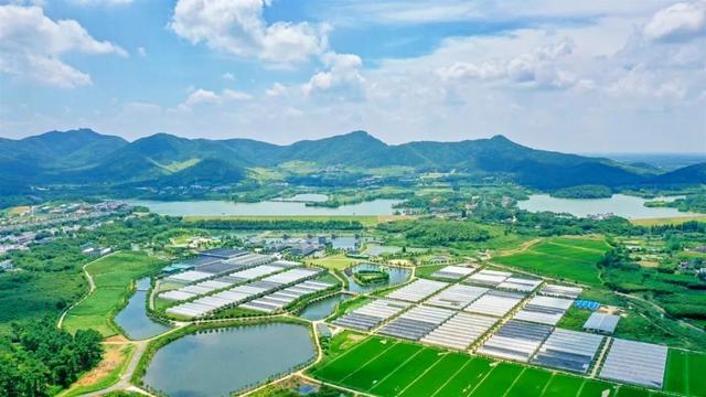清明去踏青适合去什么地方游玩（来自官方的安利）(20)