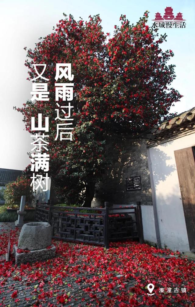 清明去踏青适合去什么地方游玩（来自官方的安利）(28)