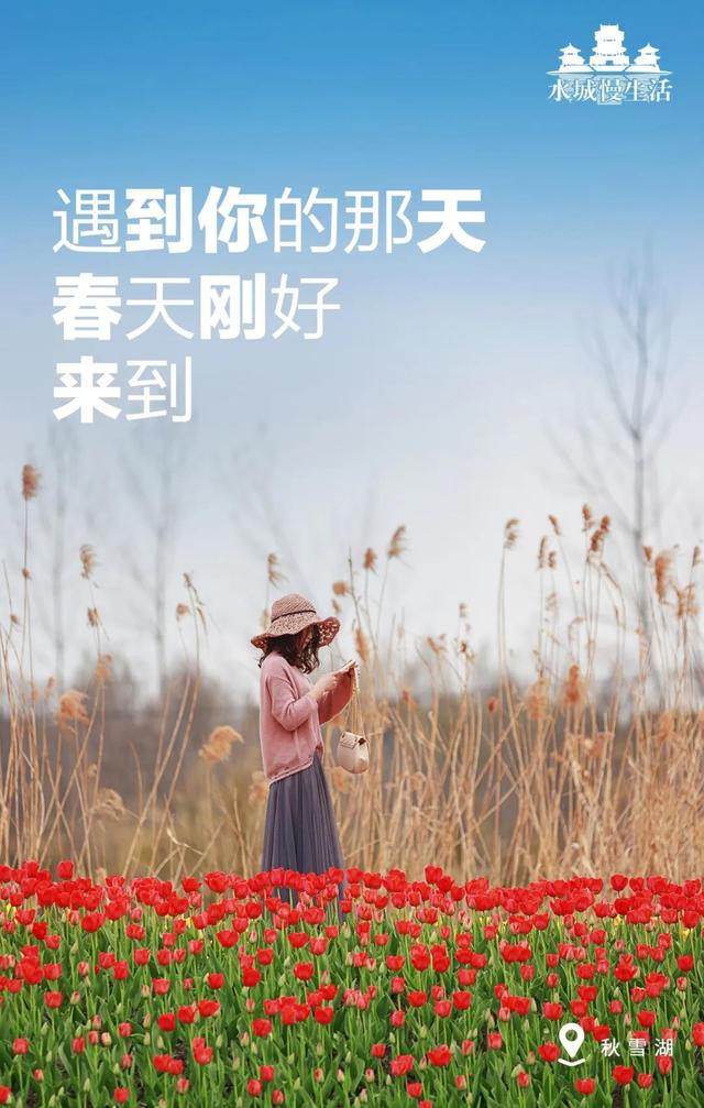 清明去踏青适合去什么地方游玩（来自官方的安利）(30)