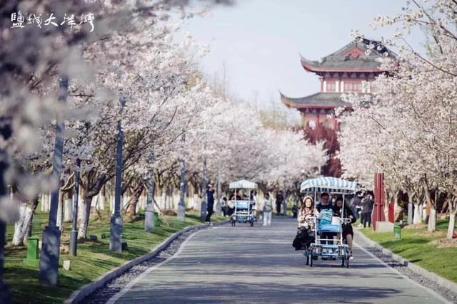 清明去踏青适合去什么地方游玩（来自官方的安利）(34)