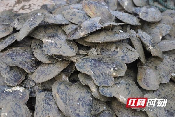 衡阳市衡阳县过滤机