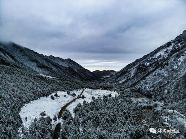 五月雪