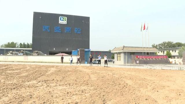 亳州隔膜压滤机定做