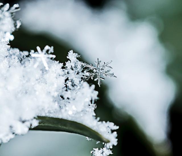 雪上加霜的意思