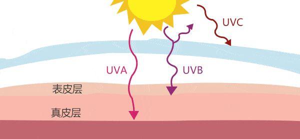 维a酸加入身体乳