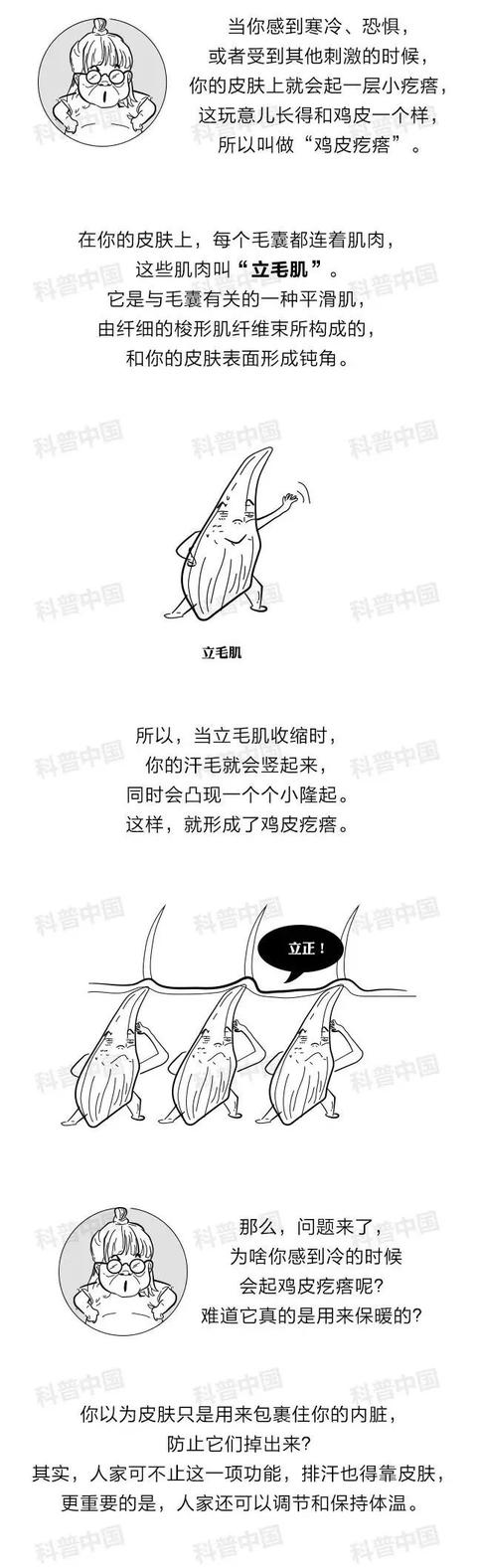 下体痒有点鸡皮疙瘩怎么回事