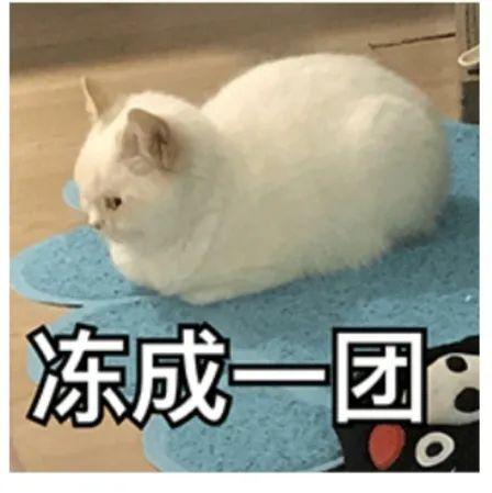 天气冷一直起鸡皮疙瘩