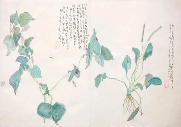 瑶医坊去鸡皮肤