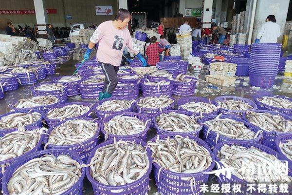 关于浙江金华制砂机锤头厂家的信息