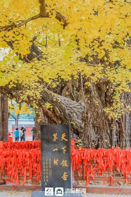 日照必打卡的景点（日照这里美成仙境）(7)