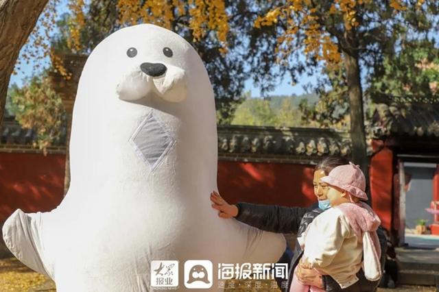 日照必打卡的景点（日照这里美成仙境）(23)
