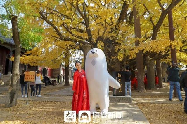日照必打卡的景点（日照这里美成仙境）(24)