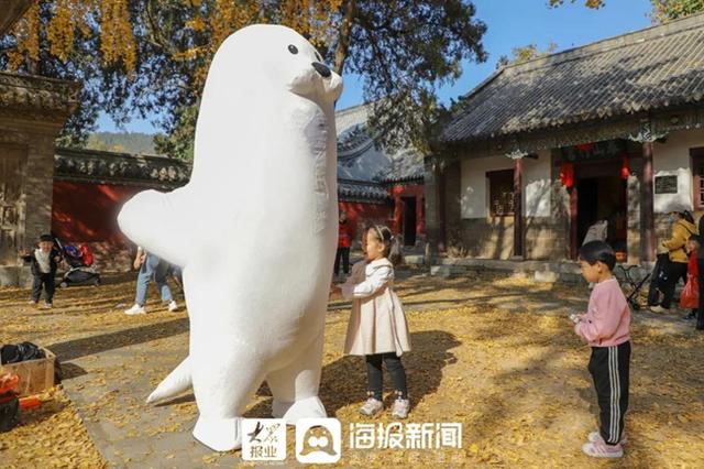 日照必打卡的景点（日照这里美成仙境）(25)