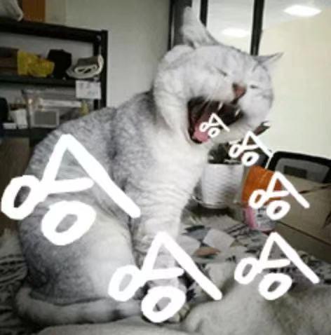 微信握手图片什么意思