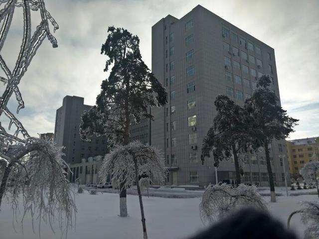 长春理工大学雪景图片