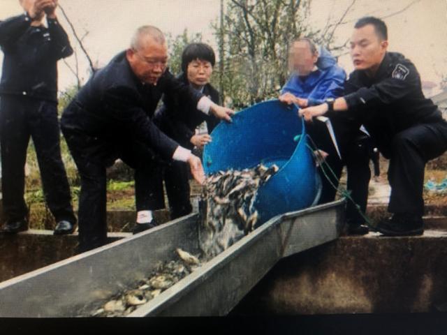 铜仁污泥工程压滤机