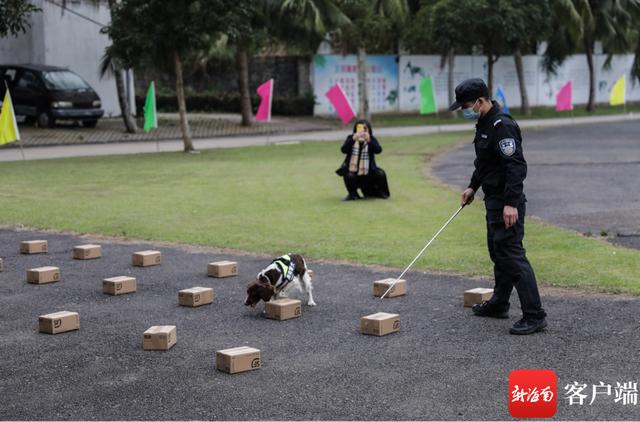 警犬图片