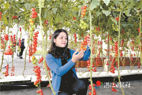雷州程控自动超高压隔膜压滤机