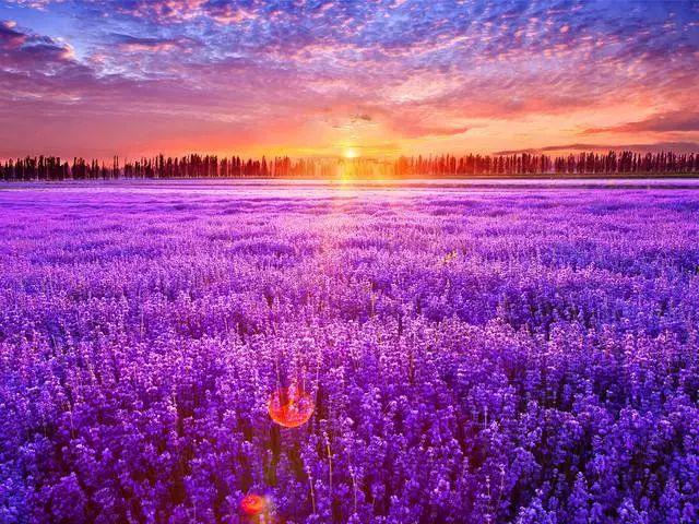 什么身体乳能吸引异性