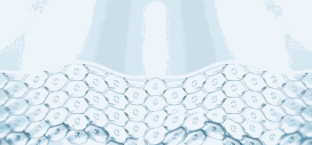 什么身体乳能吸引异性