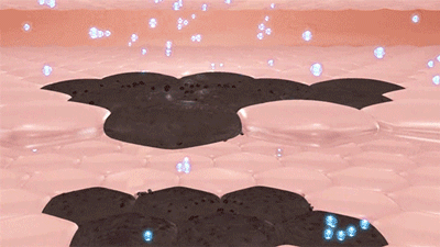 什么身体乳能吸引异性