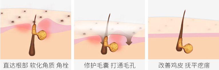 什么身体乳能吸引异性