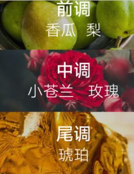 什么身体乳能吸引异性