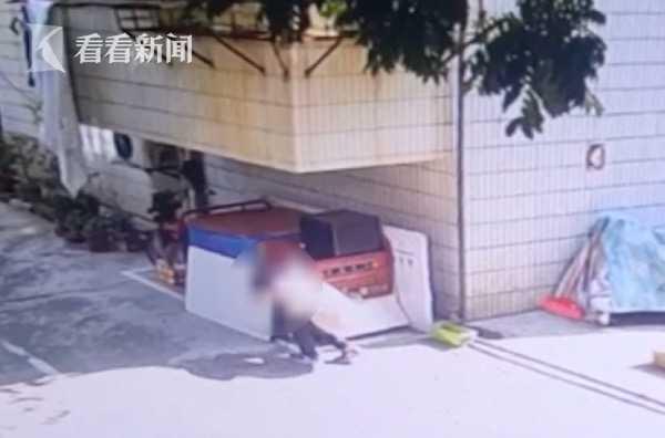 什么能毒死猫