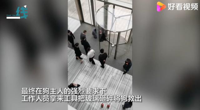 宠物狗被卡旋转门女子倒地哭喊 宠物狗被卡旋转门女子倒地哭喊（狗狗被卡旋转门） 动物