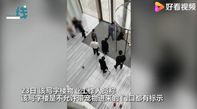 宠物狗被卡旋转门女子倒地哭喊 宠物狗被卡旋转门女子倒地哭喊（狗狗被卡旋转门） 动物