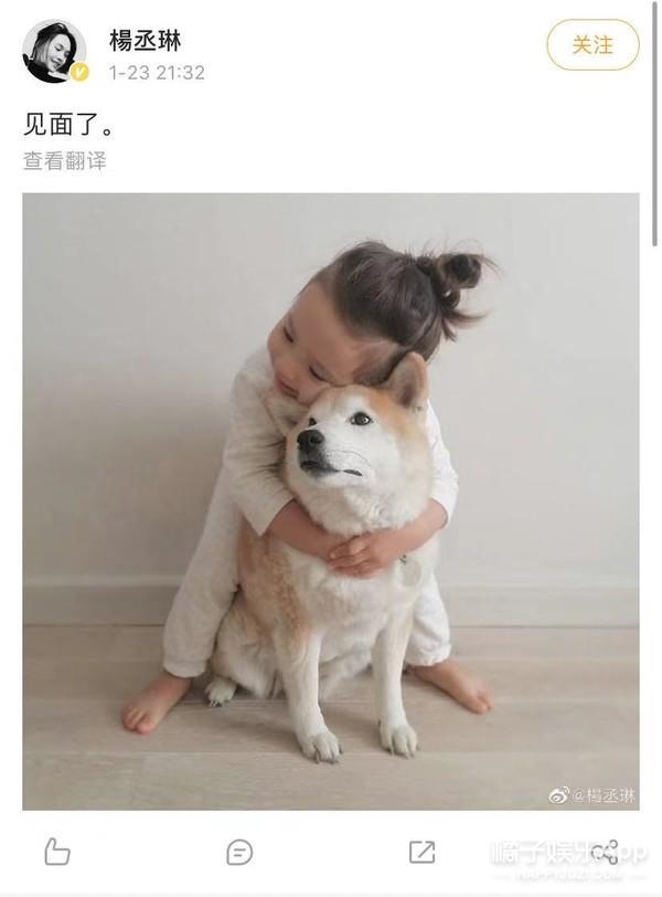 ���ٺ�2021ר��(��ة�����ٺƷָ�300�������������������Ȳ�����ֻ��������)