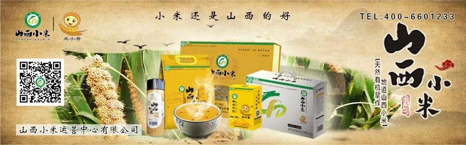 粮油机械展2020年 粮油机械展2020年