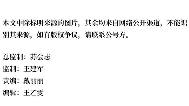 海口生姜专用破碎机