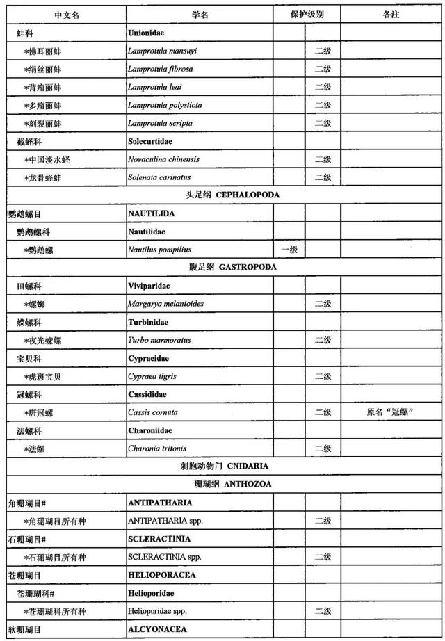 野生动物有哪些