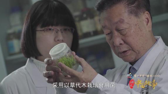 西安破碎机配件电话