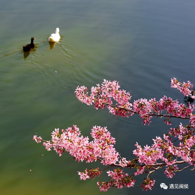 龙台山生态园（龙台山生态园一日游）