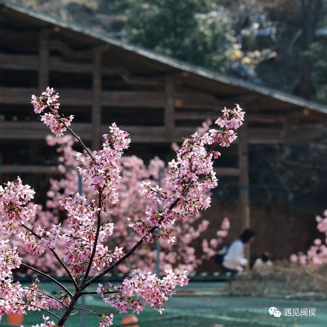 龙台山生态园