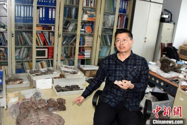 中国发现2 5亿年前九峰吐鲁番兽,2.5亿年前吐鲁番兽图片