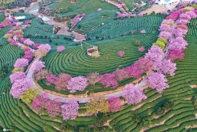 你好三月,春暖花开莫负春光