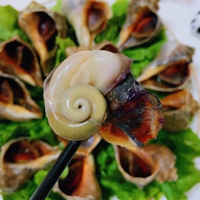 海螺蒸多久