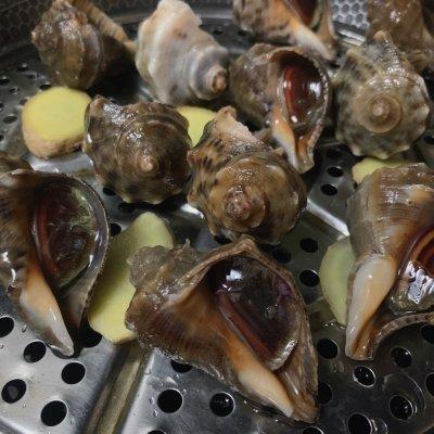 海螺蒸多久