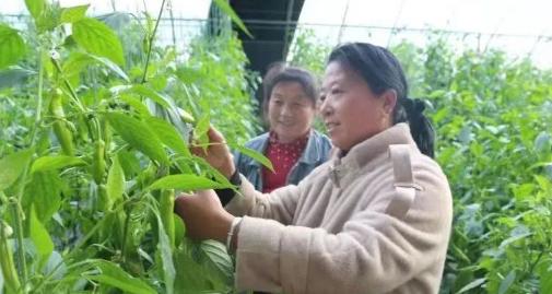 展宏建筑工程