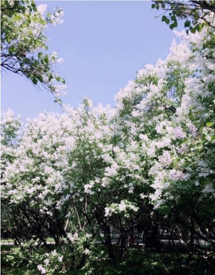 北京植物园