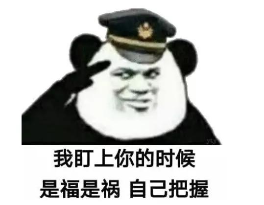 回手掏