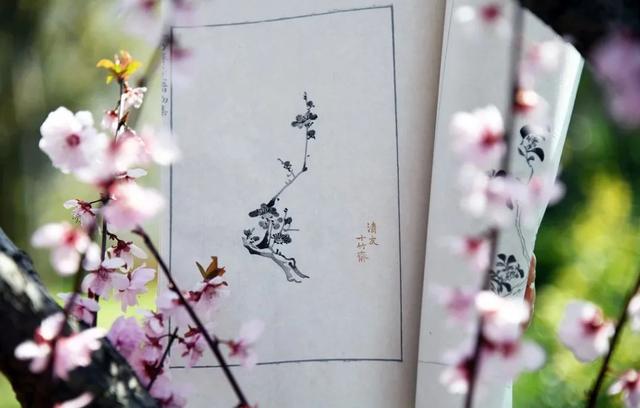 连城印刷包装机械展价钱