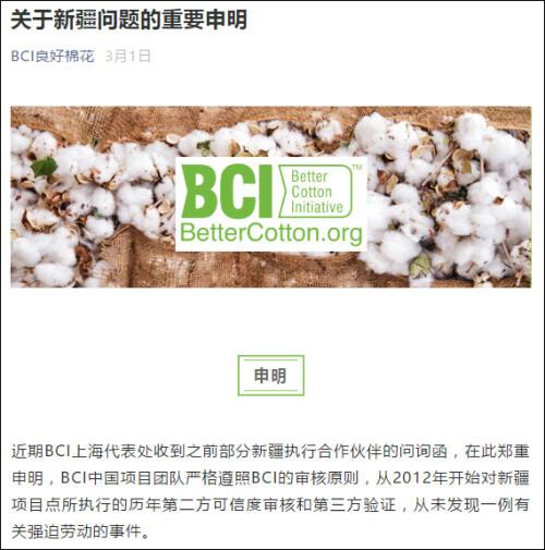 bci组织是什么意思,bci组织是什么-